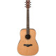 IBANEZ ARTWOOD AW65 NATURAL