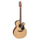 TAKAMINE PRO SERIES 1 P1NC SATIN NATURAL