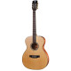 CRAFTER GUITARS MIND T-ALPe/N SATIN NATURAL CON BORSA CRAFTER