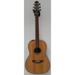 TAKAMINE GY93E NATURAL CON BORSA