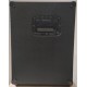 GALLIEN KRUEGER CX210