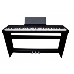 ECHORD SP10 BLACK
