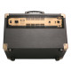 PEAVEY ECOUSTIC E110