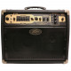 PEAVEY ECOUSTIC E110