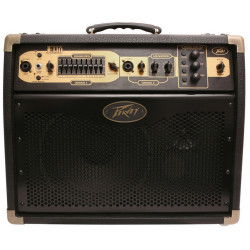 PEAVEY ECOUSTIC E110