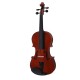 FBT Vertus CLA604 + CLA208 con borse