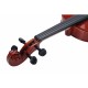 FBT Vertus CLA604 + CLA208 con borse