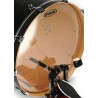 EVANS BD18GB1 BATTENTE TRASPARENTE 18"