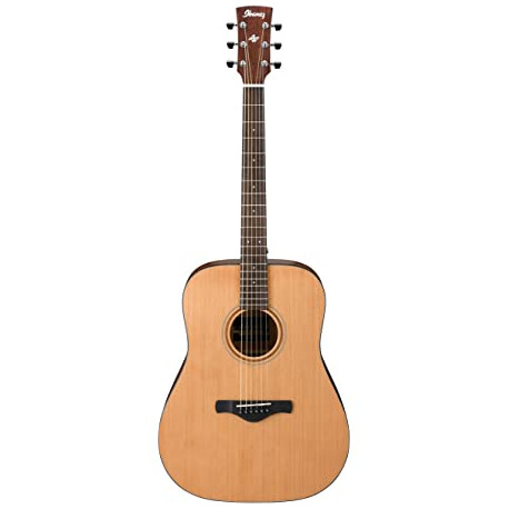IBANEZ ARTWOOD AW65NATURAL