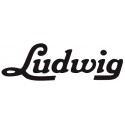 Ludwig