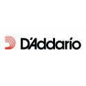 D'addario